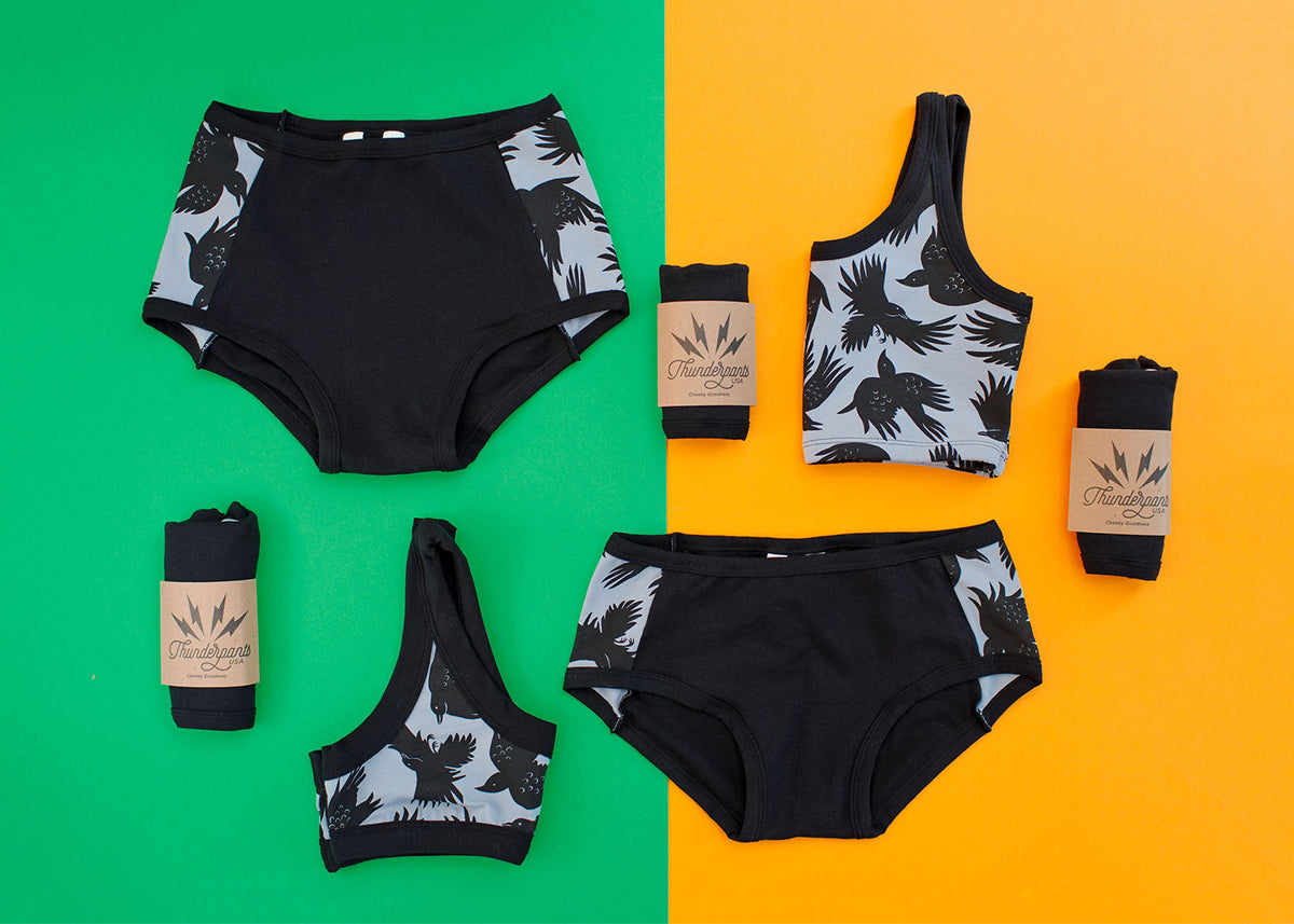 Flat lay of Thunderpants Original and Hipster Panel Pants style underwear and bras in So it Crows.