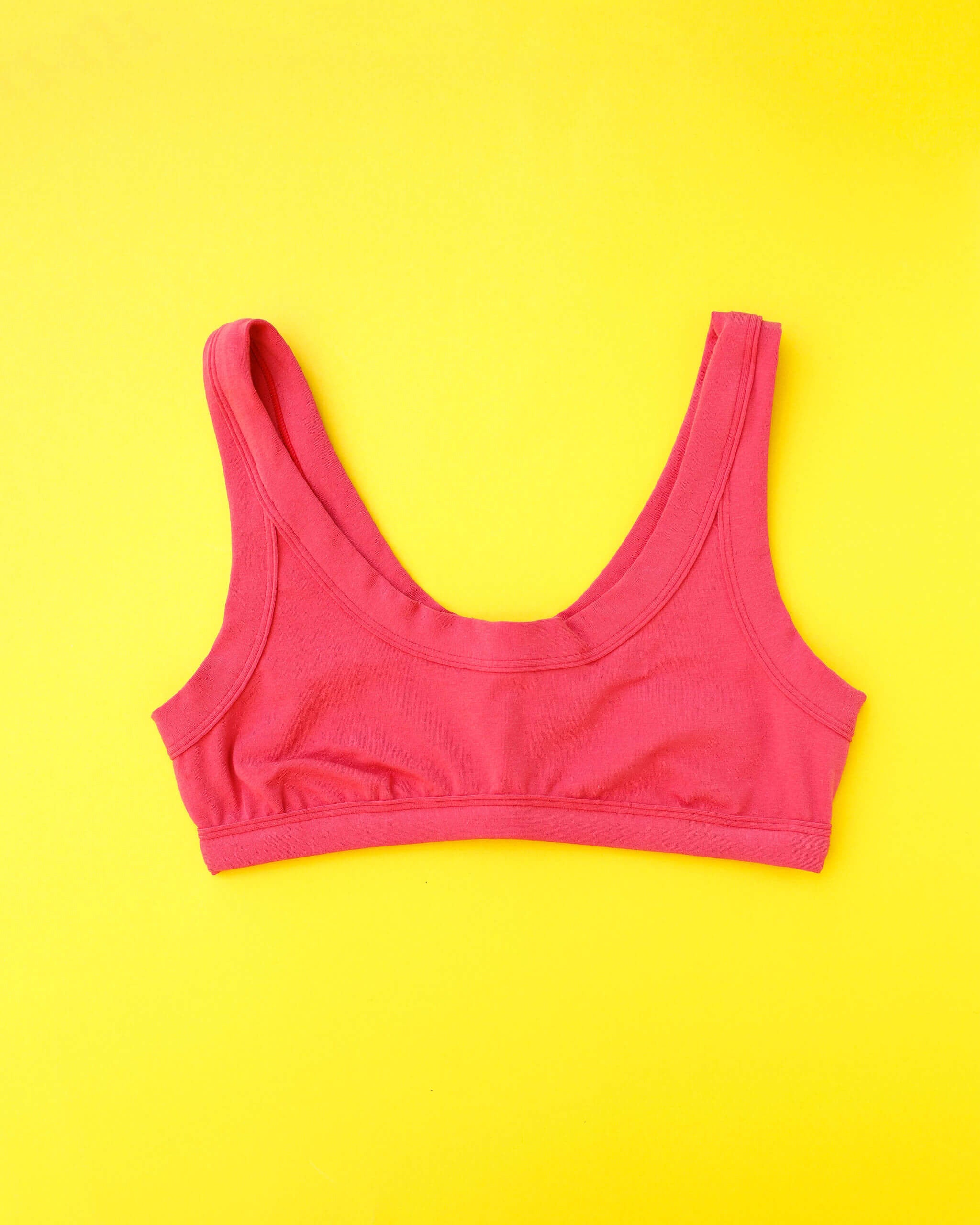 Flay lay of Thunderpants Bralette in Pomegranate Punch.