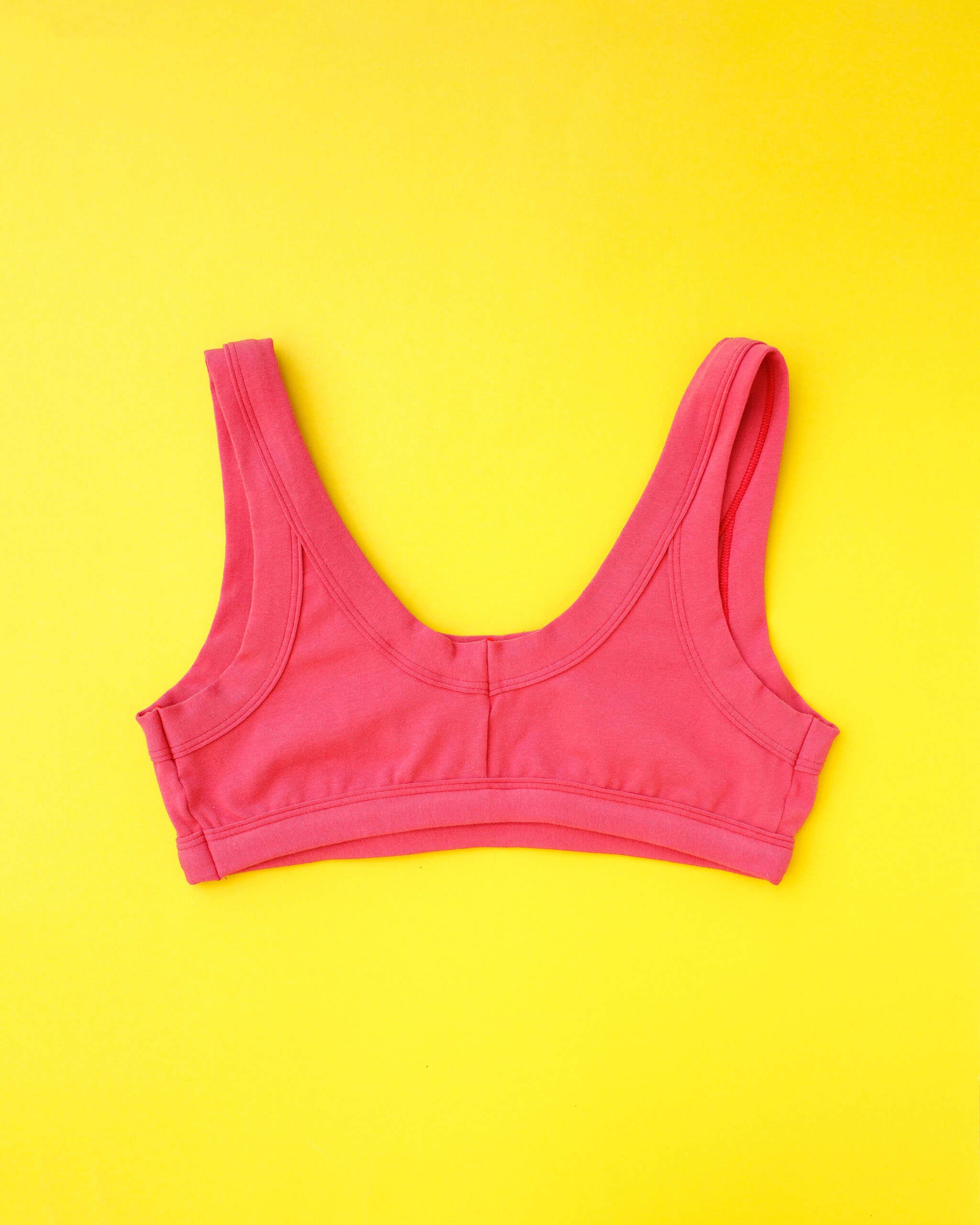 Flay lay of Thunderpants Bralette in Pomegranate Punch.