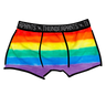 Drawing of Thunderpants Boxer Brief style underwear in rainbow dye with emerald green binding.