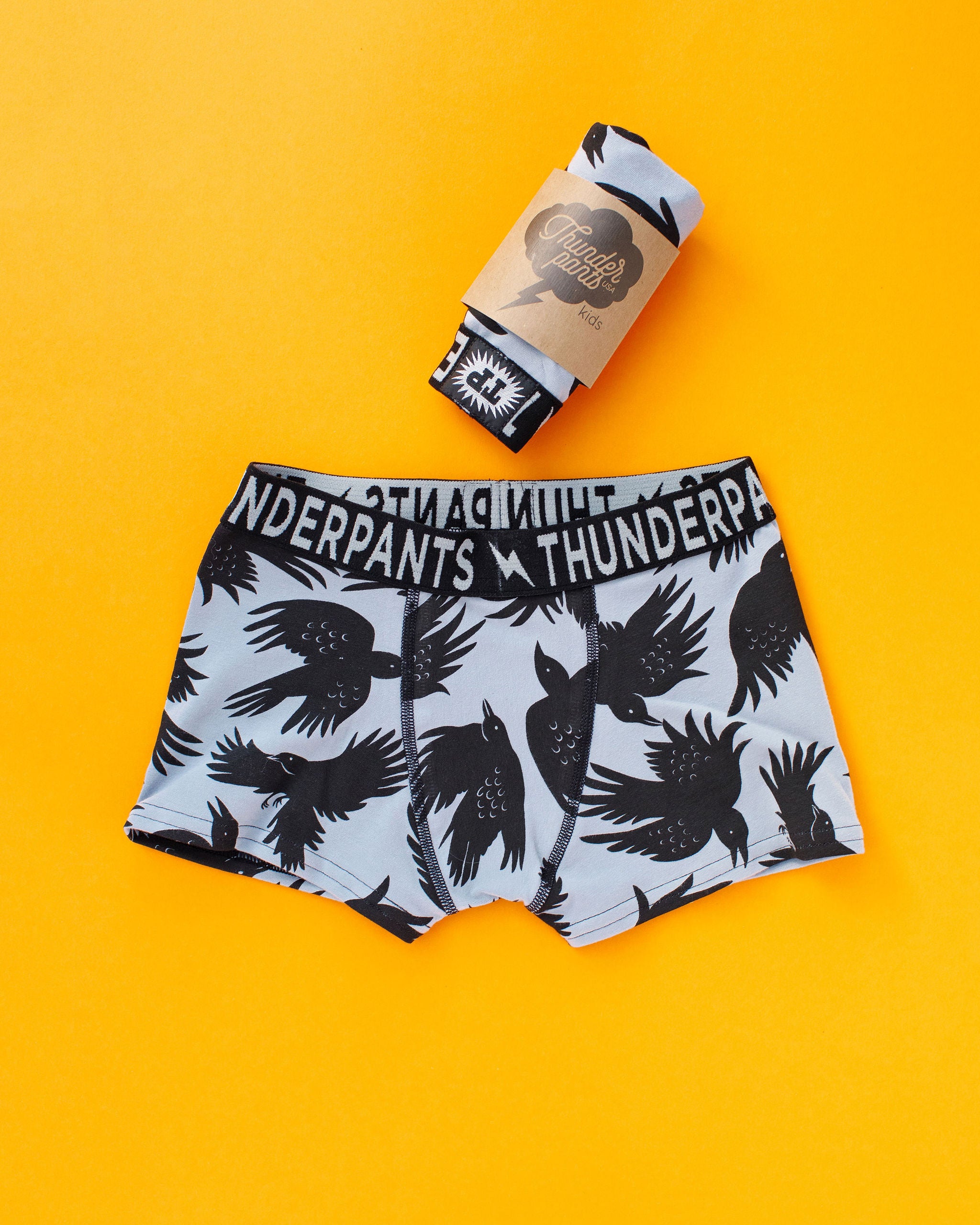Flat lay of Thunderpants Kid's Boxer Brief style underwear in So it Crows print.