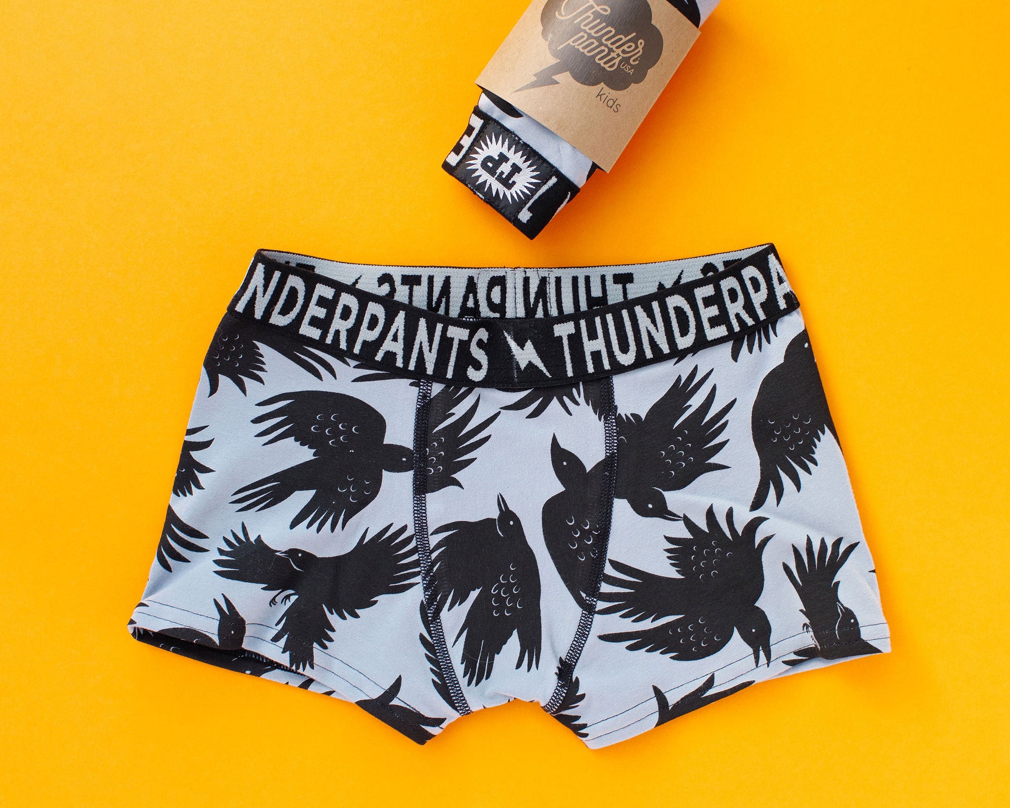 Flat lay of Thunderpants Kid's Boxer Brief style underwear in So it Crows print.