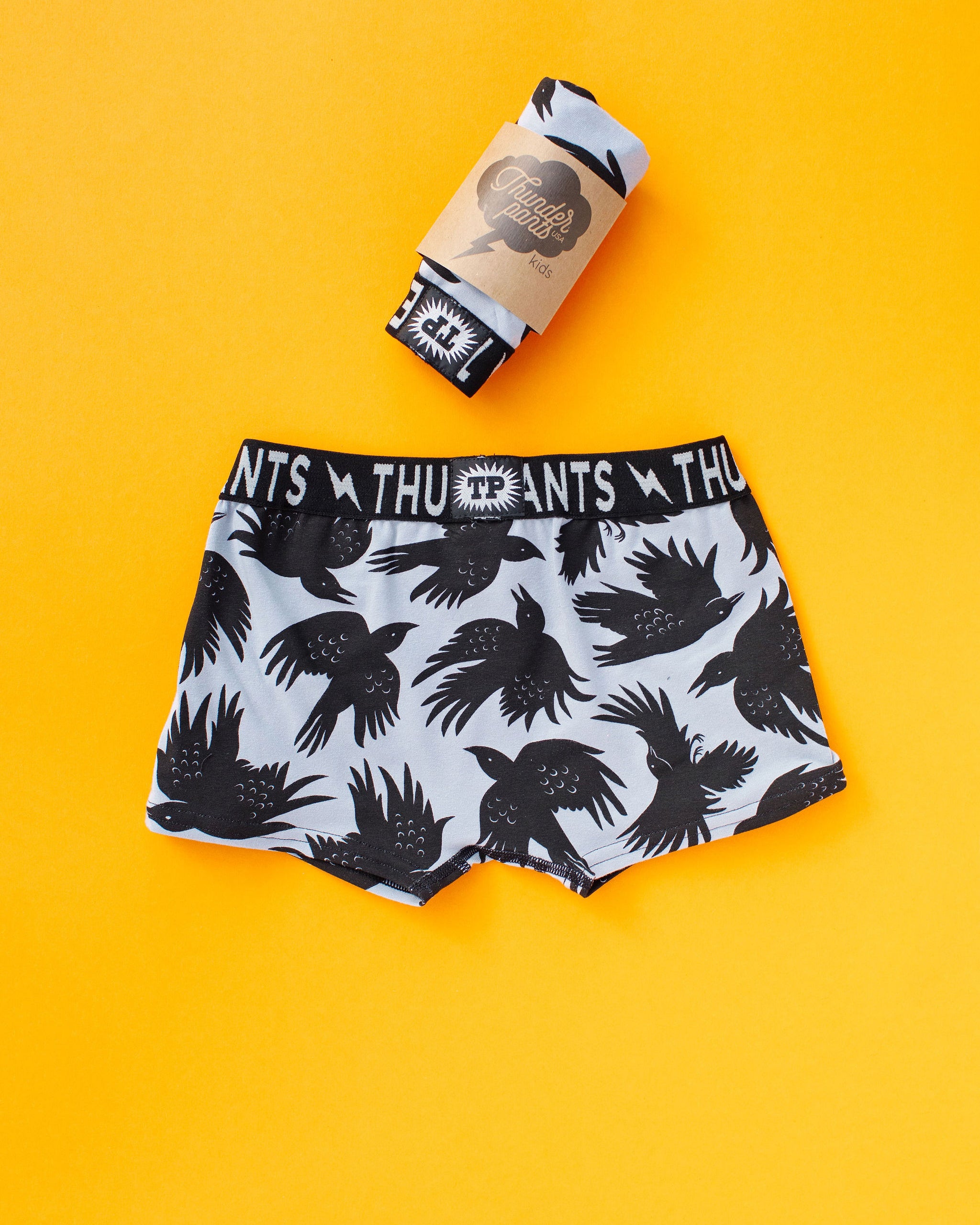 Flat lay of Thunderpants Kid's Boxer Brief style underwear in So it Crows print.