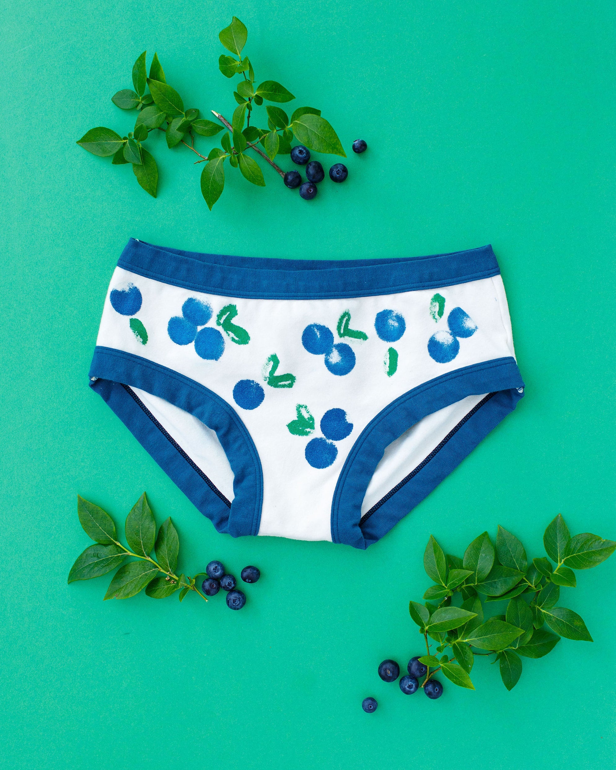 Flat lay of Thunderpants Hipster style underwear with a blue and green Blueberry print and blue binding. 