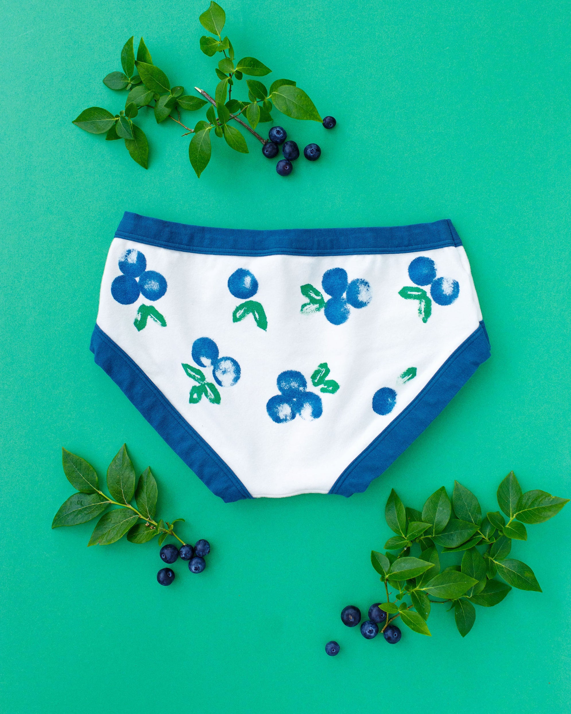 Flat lay of Thunderpants Hipster style underwear with a blue and green Blueberry print and blue binding. 