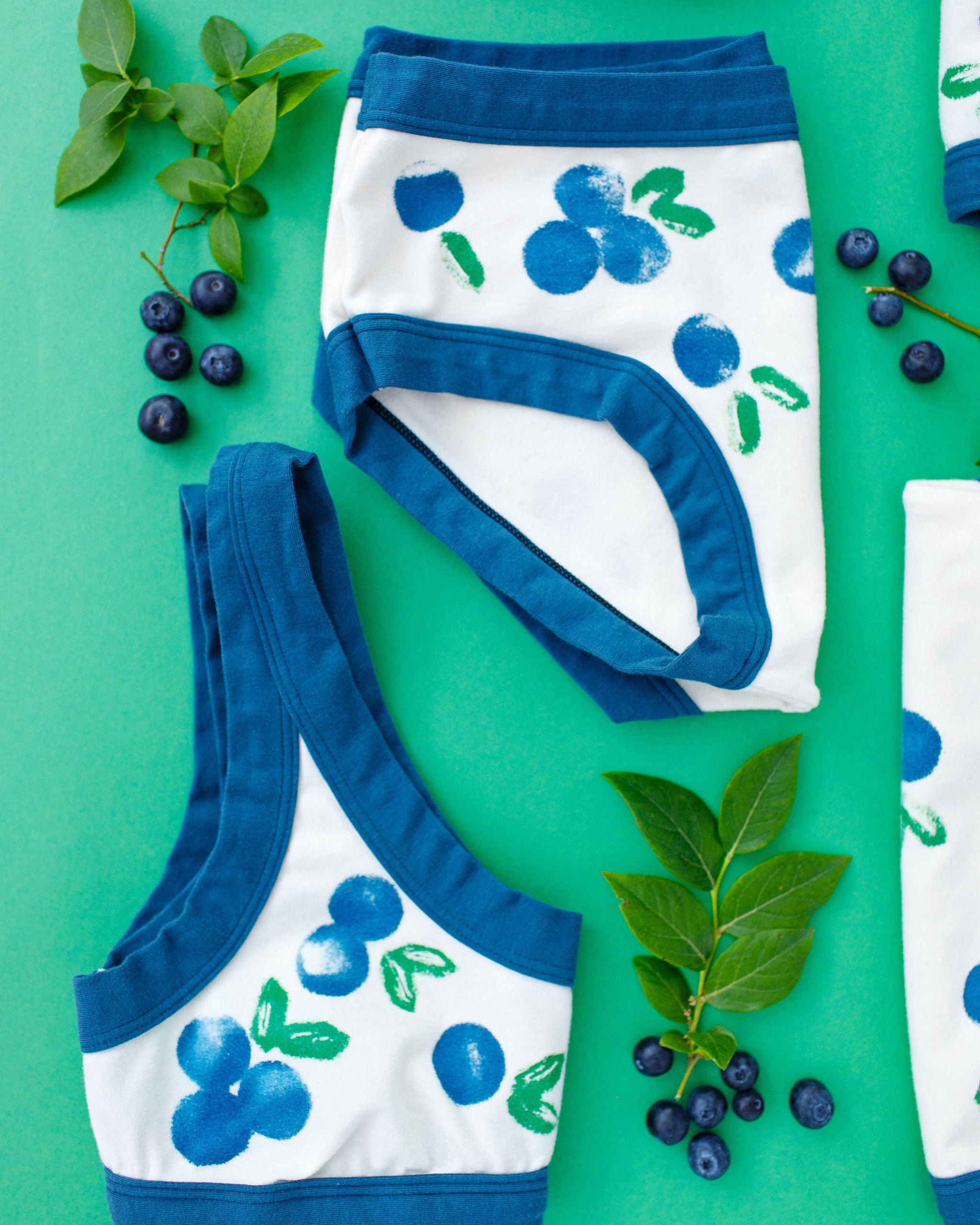 Flat lay of Thunderpants Hipster style underwear with a blue and green Blueberry print and blue binding. 