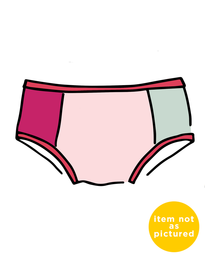 Drawing of Thunderpants Panel Pants Hipster style underwear in Color Block Scraps - various solid colors.