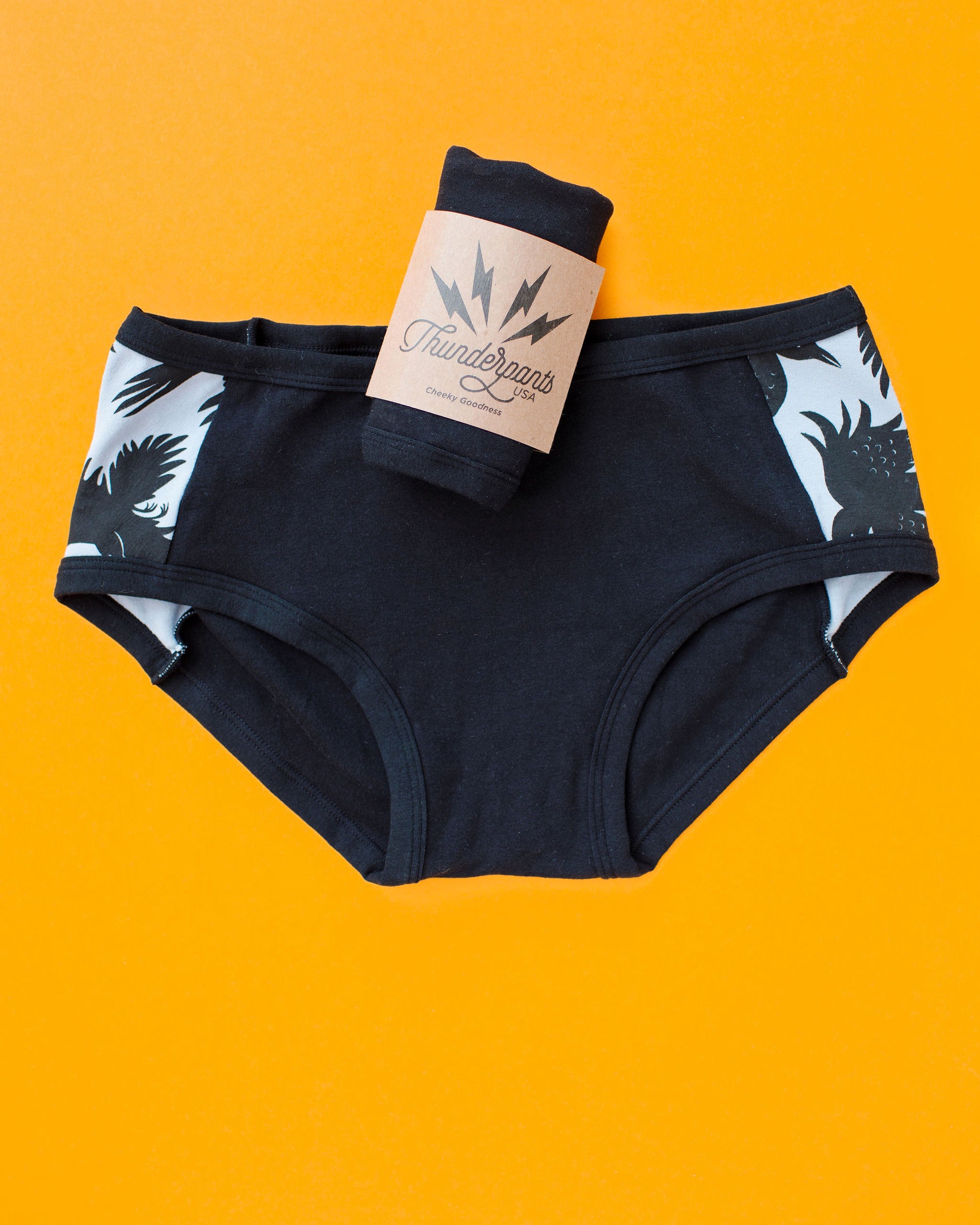 Flat lay of Thudnerpants Hipster Panel Pants style underwear in So it Crows - black crows with grey background one the sides and black on front and back. 