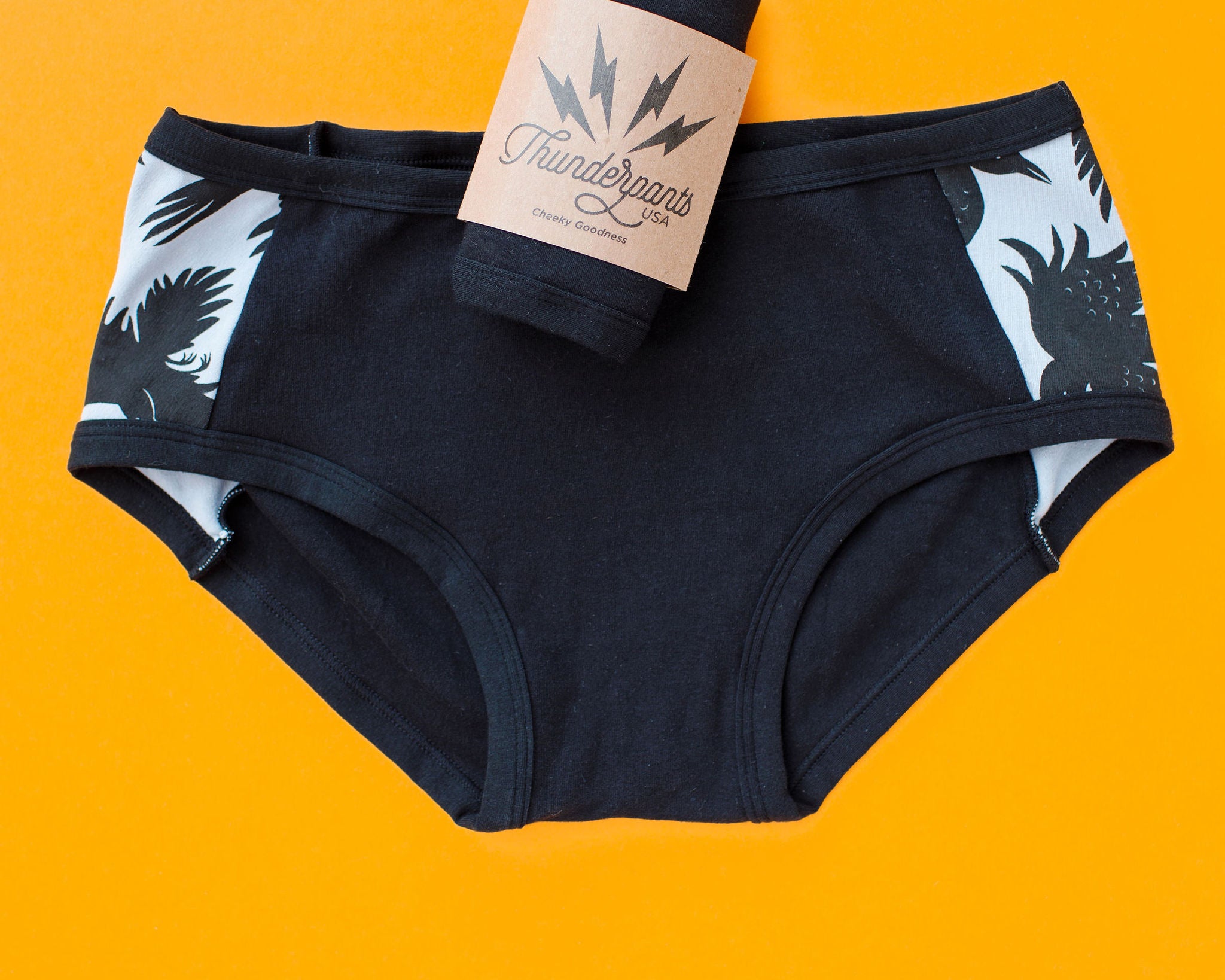 Flat lay of Thudnerpants Hipster Panel Pants style underwear in So it Crows - black crows with grey background one the sides and black on front and back. 