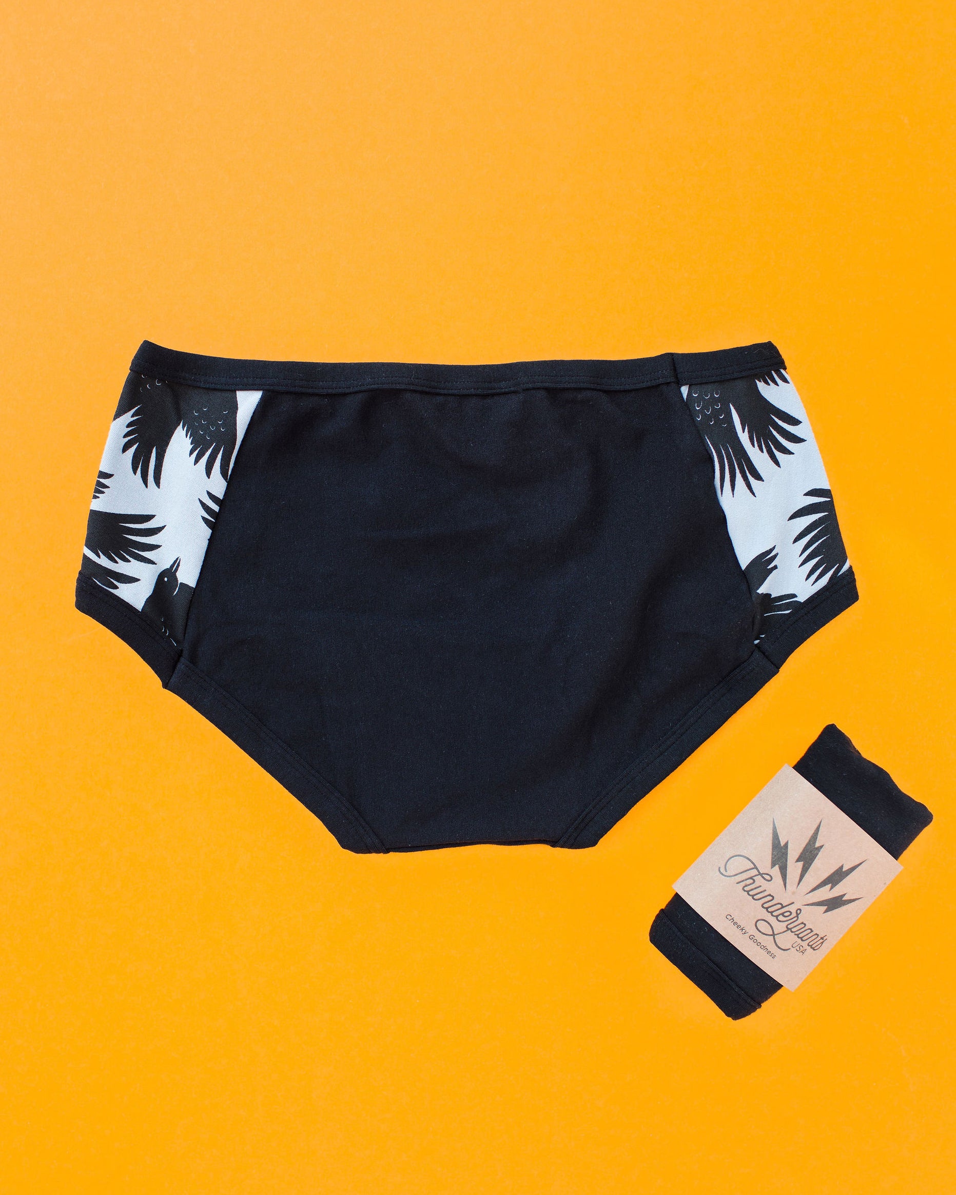 Flat lay of Thudnerpants Hipster Panel Pants style underwear in So it Crows - black crows with grey background one the sides and black on front and back. 