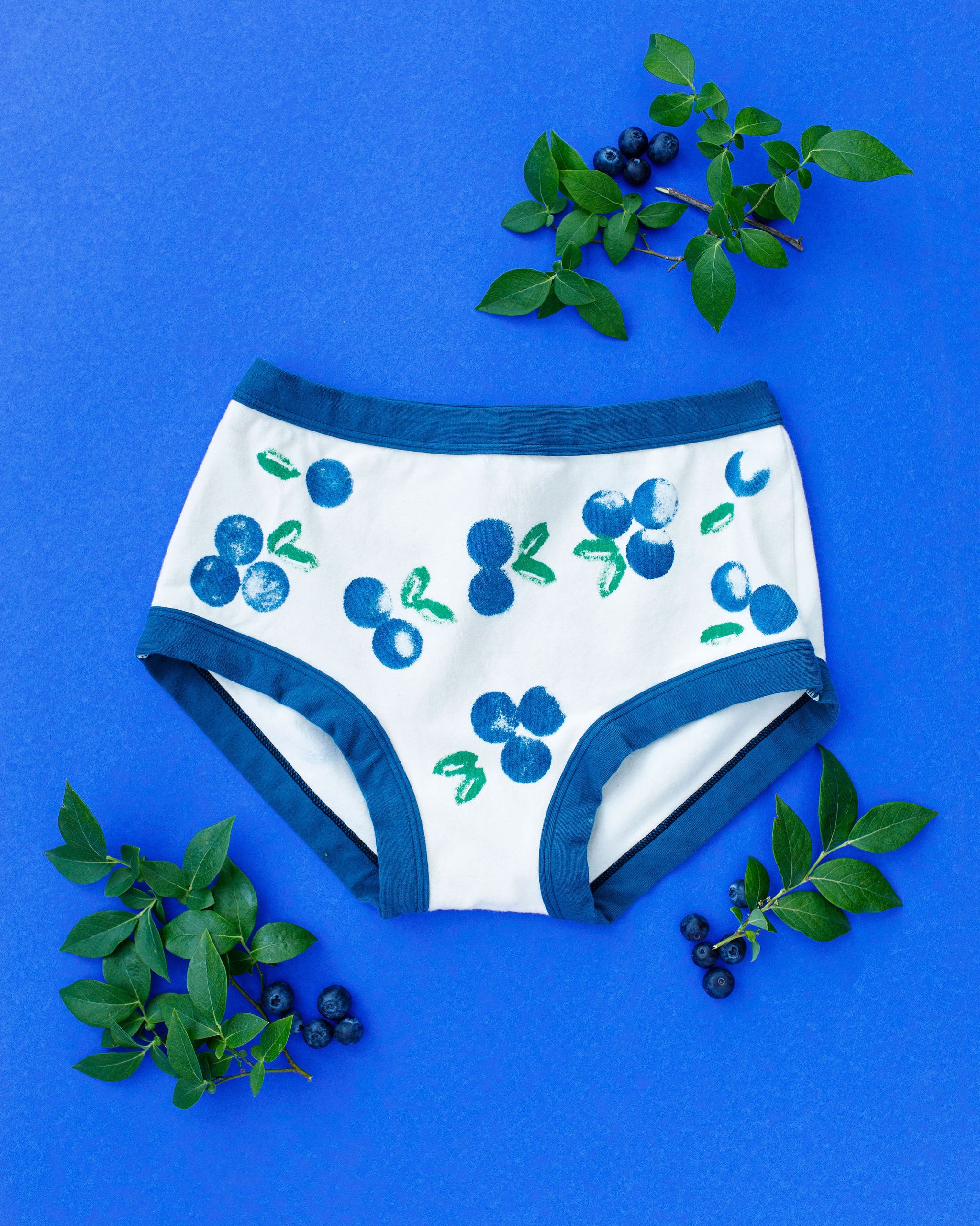 Flat lay of Thunderpants Original style underwear with a blue and green Blueberry print and blue binding. 