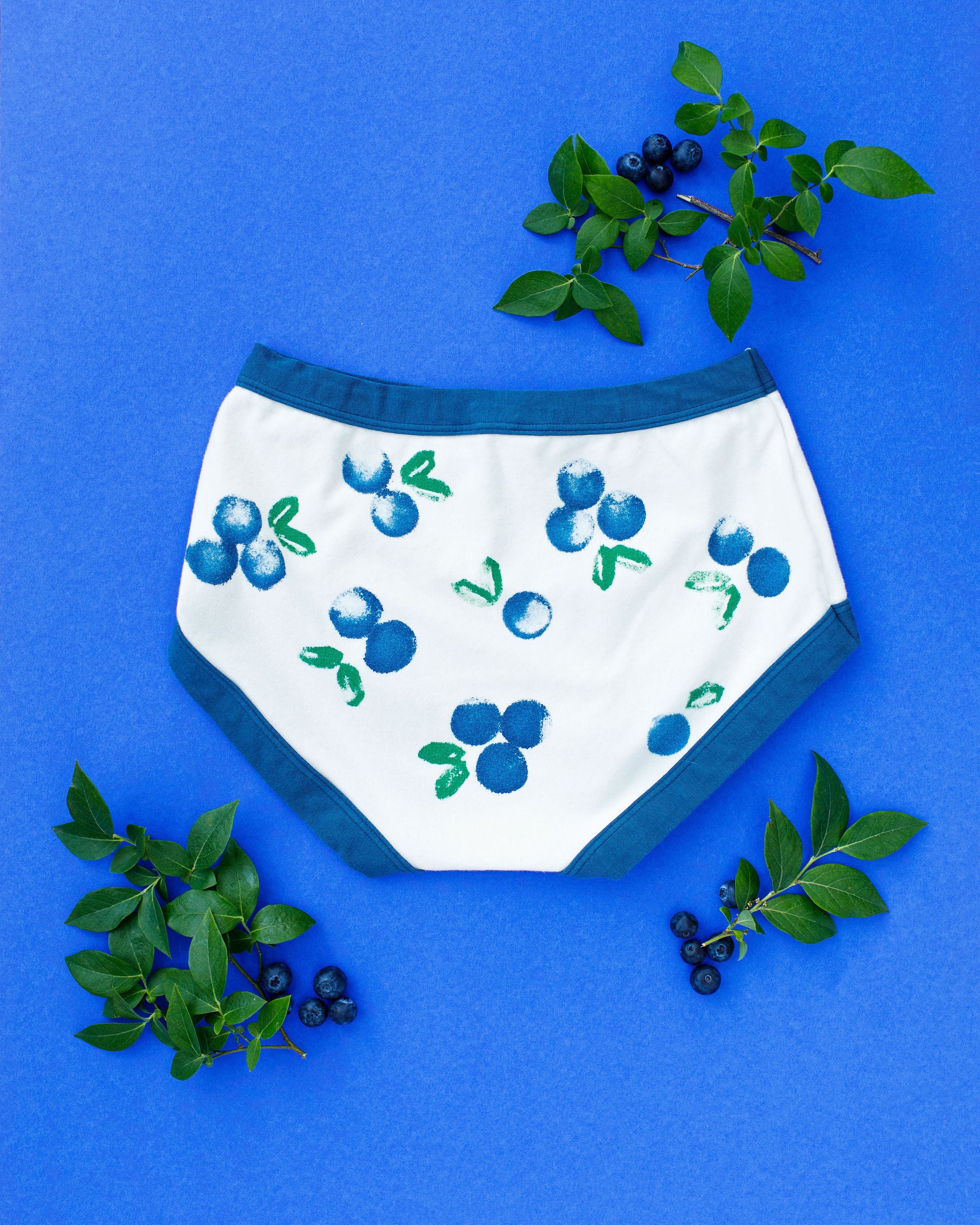 Flat lay of Thunderpants Original style underwear with a blue and green Blueberry print and blue binding. 