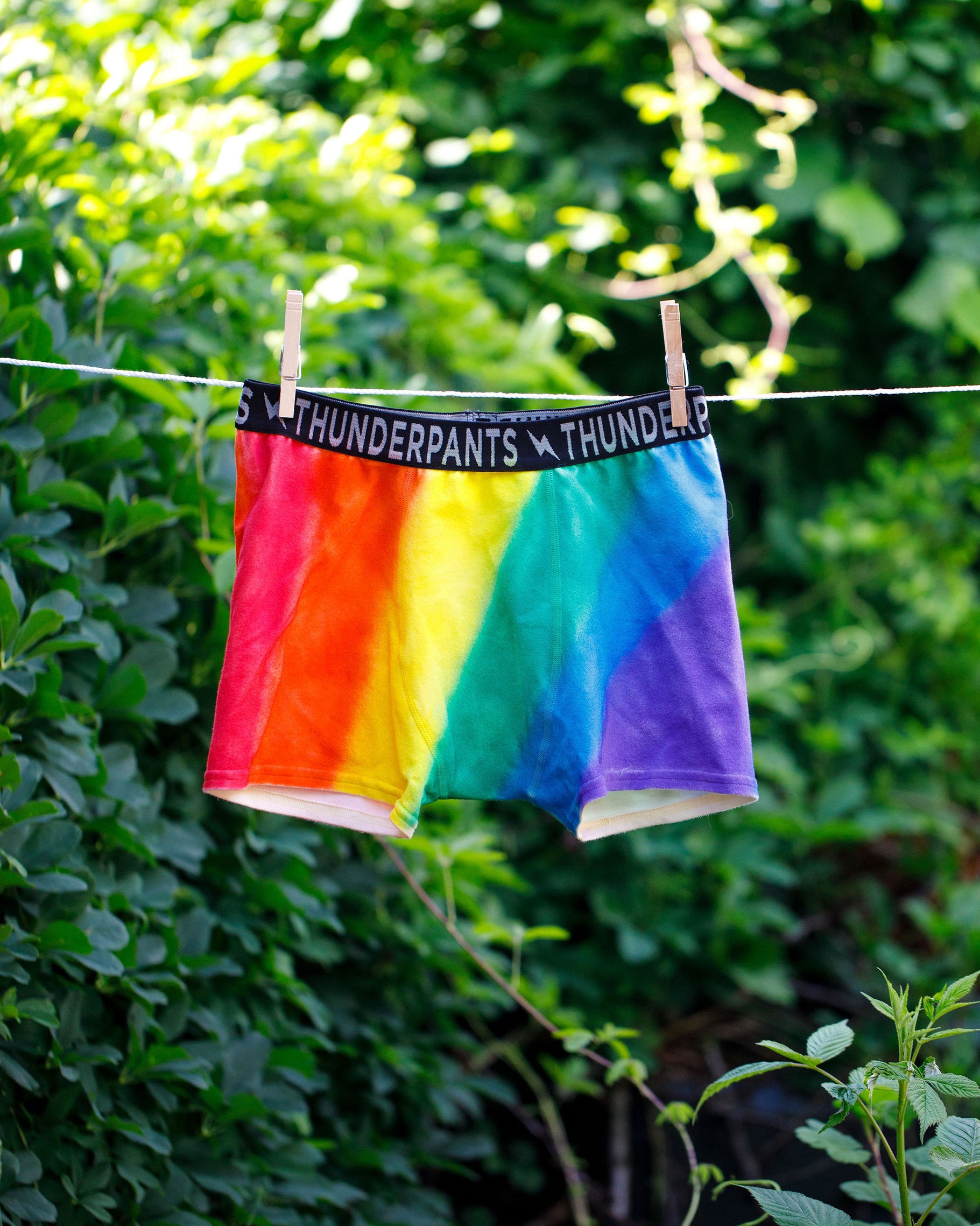 Thunderpants organic cotton Boxer Brief style underwear in hand painted rainbow stripes for Pride hanging on a clothes line in greenery.
