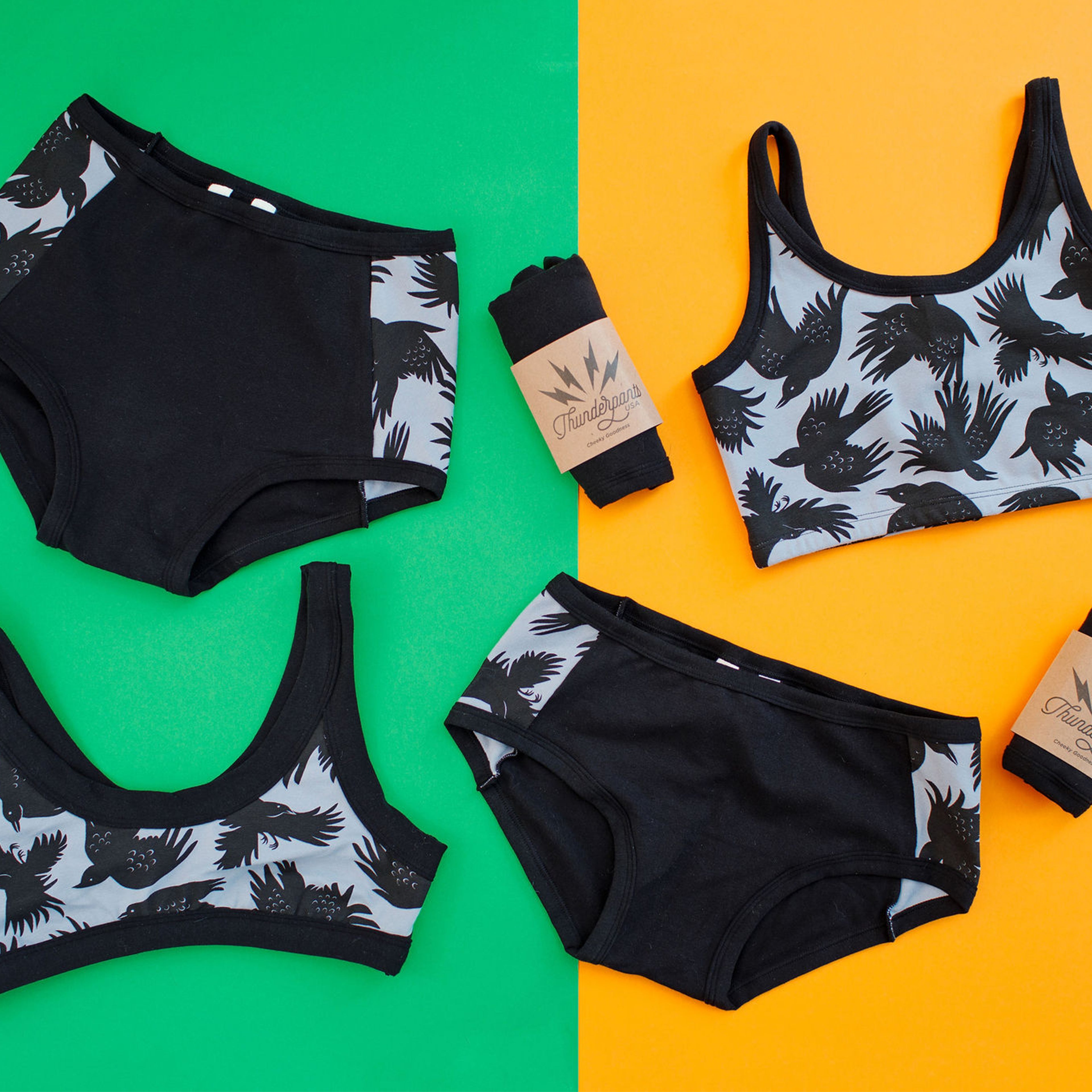 Flat lays of Thunderpants Original and Hipster Panel Pants style underwear with Bras in So it Crows print.