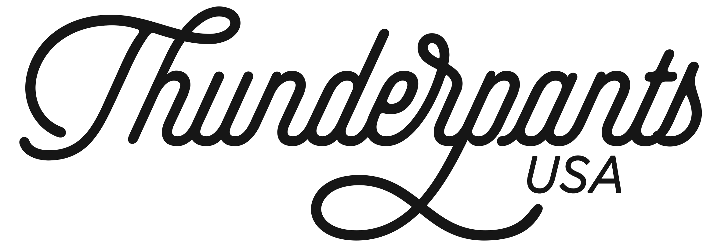 Thunderpants USA - Underwear that doesn't ride up, roll down, and lasts.  Made in USA with Organic Cotton. What more do we need??