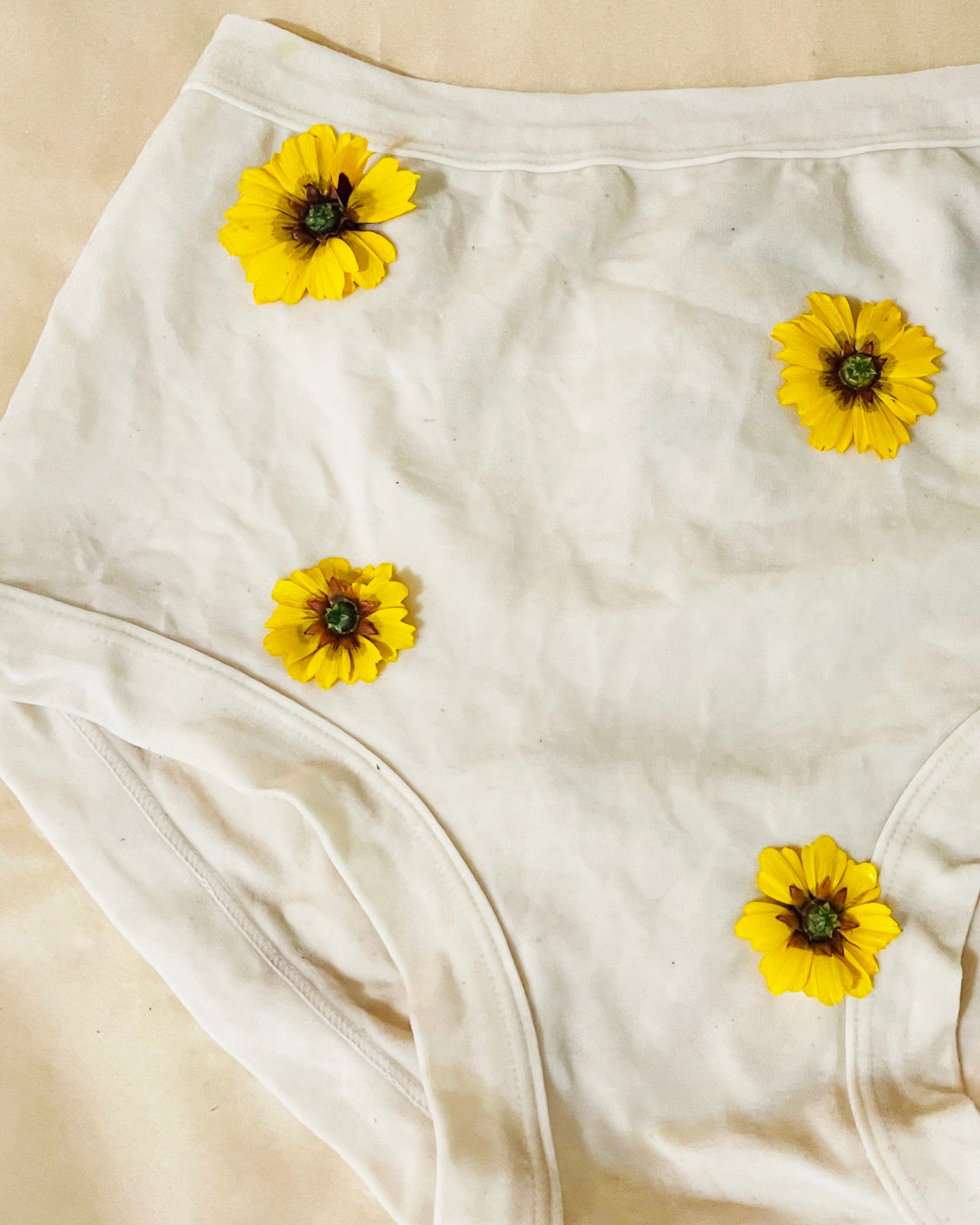 Close up photo of the dying process with fresh flowers placed on underwear before rolling and steaming.