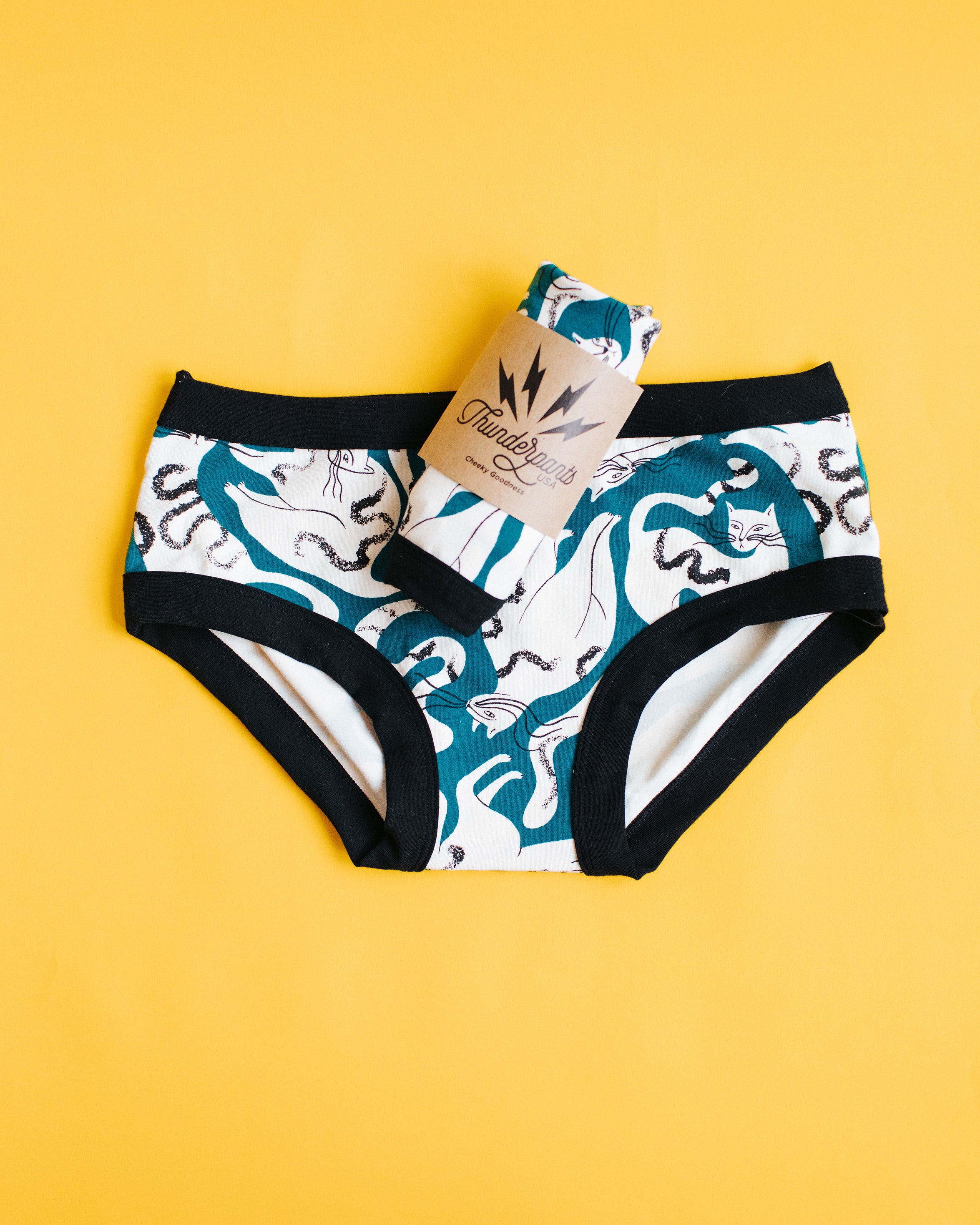 Flat lay of Thunderpants Hipster style underwear and a packaged pair in Hey Meow! print - green with white cats.