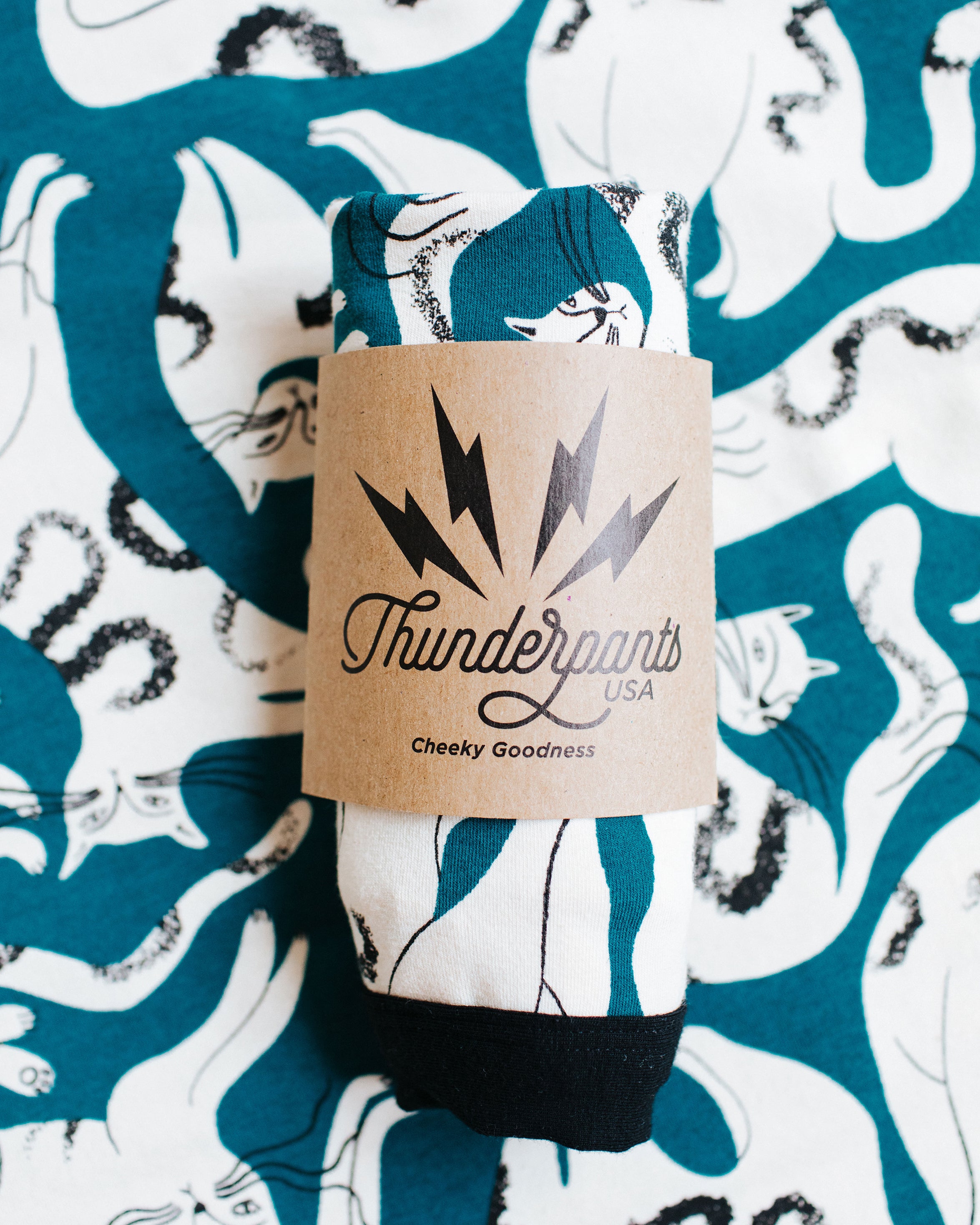 Flat lay of packaged Thunderpants underwear in Hey Meow! print - green with white cats.